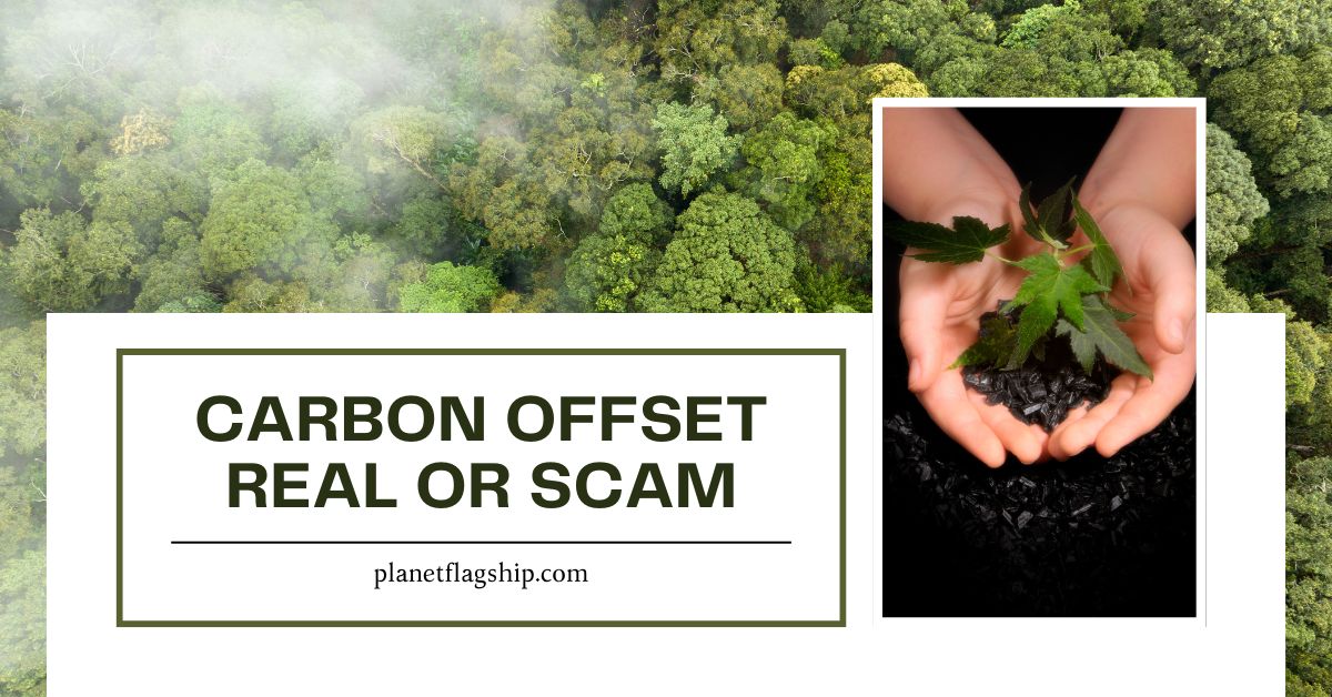 Is Carbon Offsetting a Scam or a Real Solution?