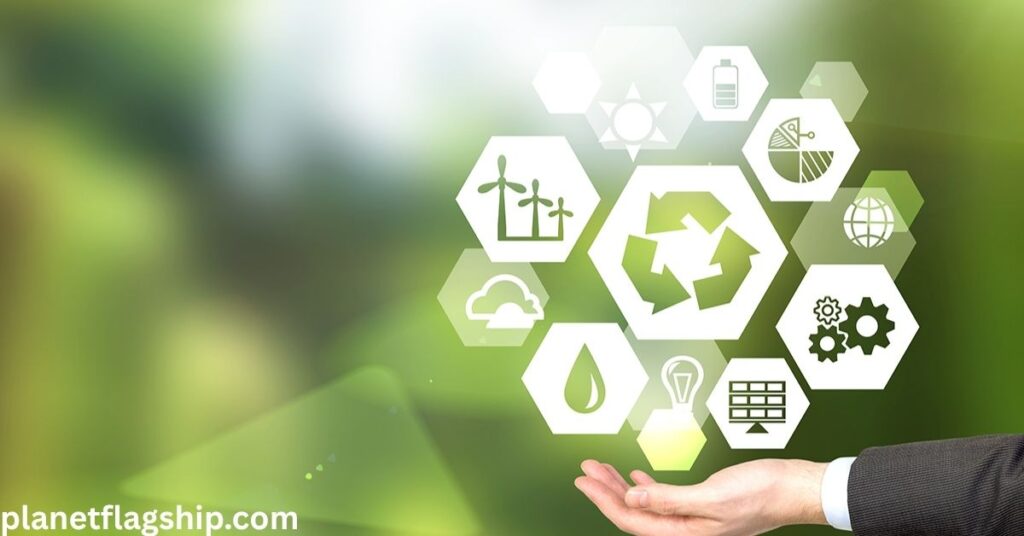 The Cons of Eco-Certifications