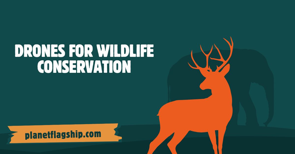 Drones Are Helping in Wildlife Conservation