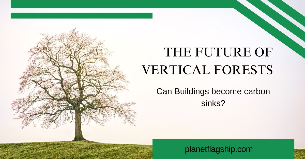 The Future of Vertical Forests: Can Buildings Become Carbon Sinks?