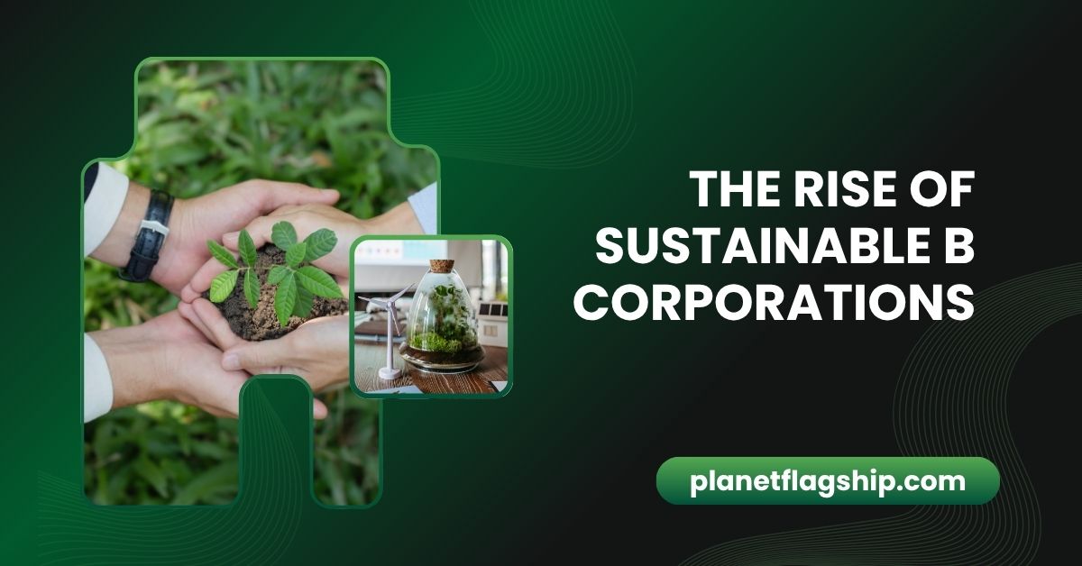 The Rise of B Corporation: Can Business Be Both Profitable and Sustainable?