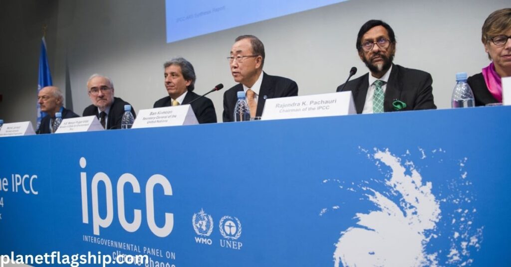The Role of Government and International Bodies