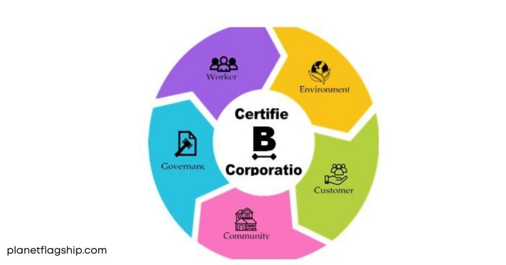Rise of B Corporation