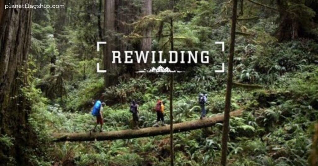 Challenges to Rewilding