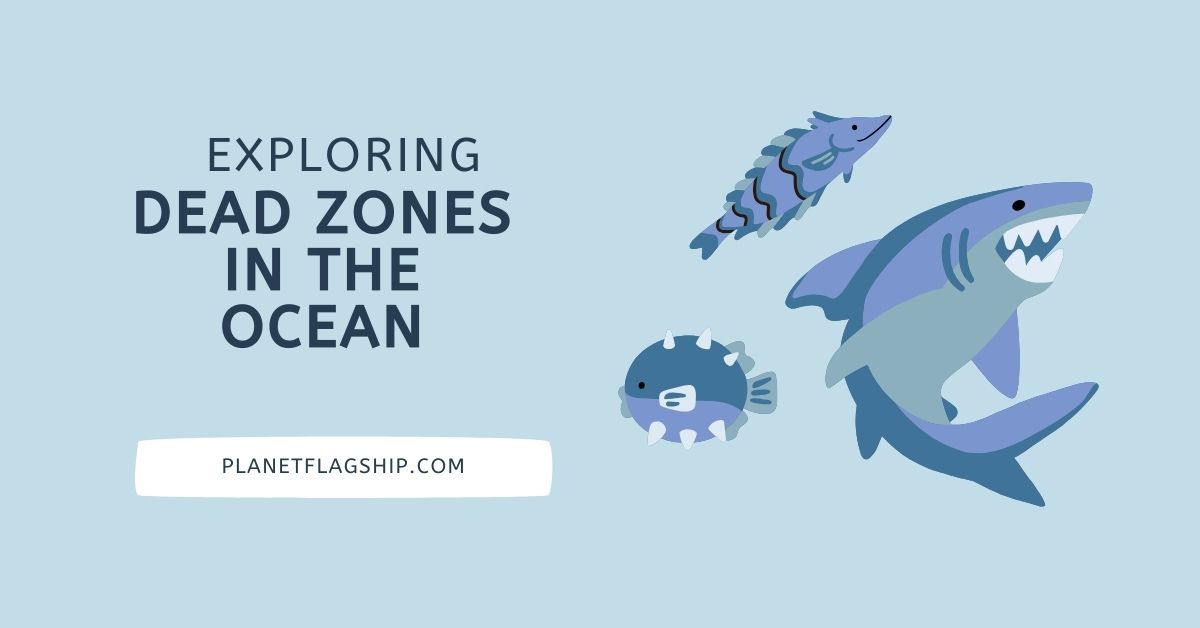 Dead Zones in the Ocean