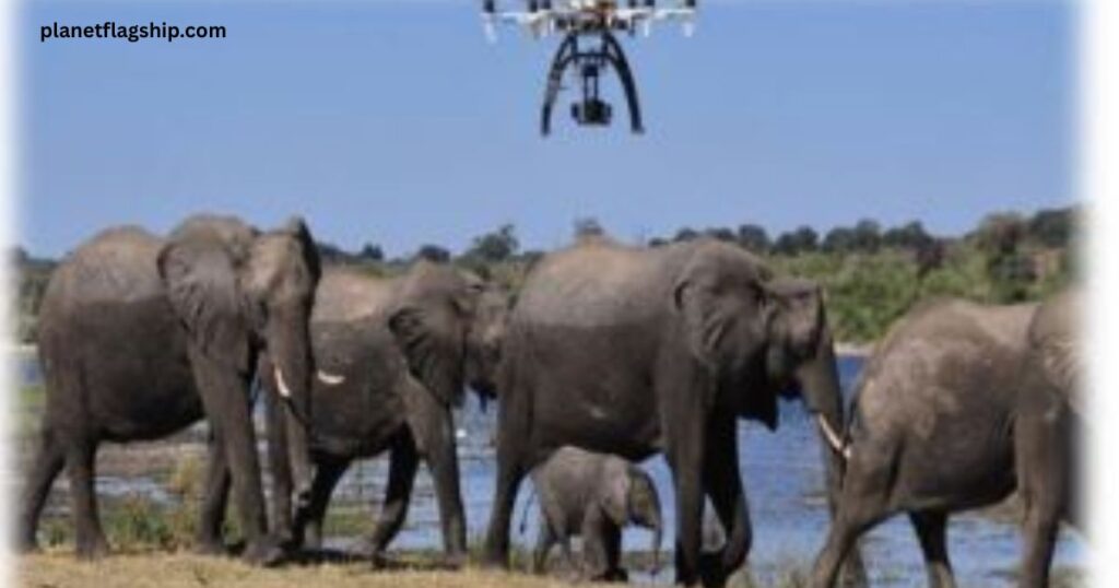 Space imagery and surveillance