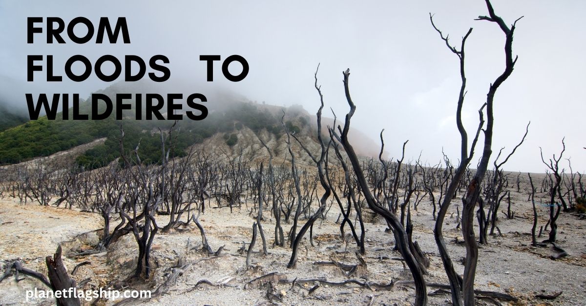 From Floods to Wildfires: The Rising Costs of Climate Disasters