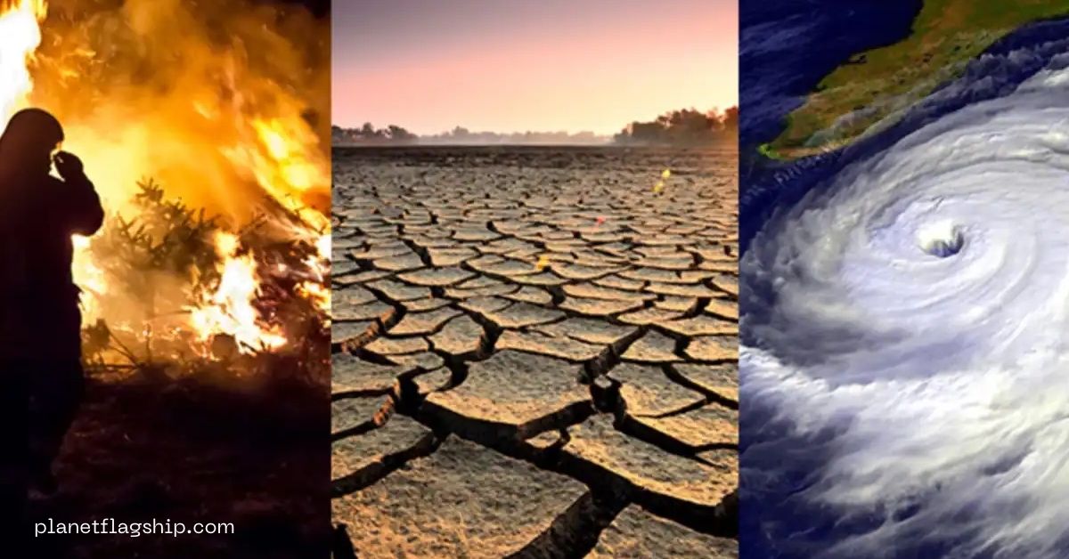 How Cities Can Prepare for Climate Change