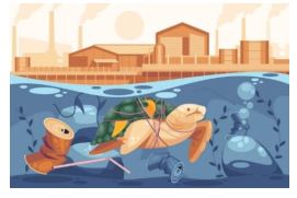 Importance of the marine ecosystem