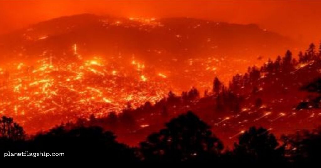  The Rising Cost of Wildfires