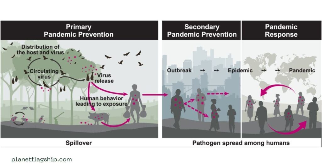 The Role of Climate Policy in Pandemic Prevention
