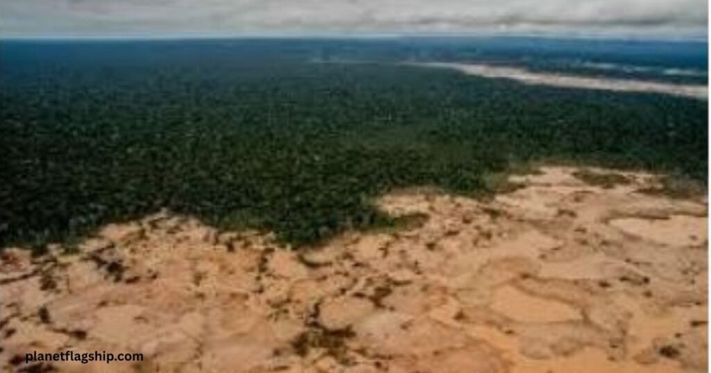 The Rush for Raw Materials 