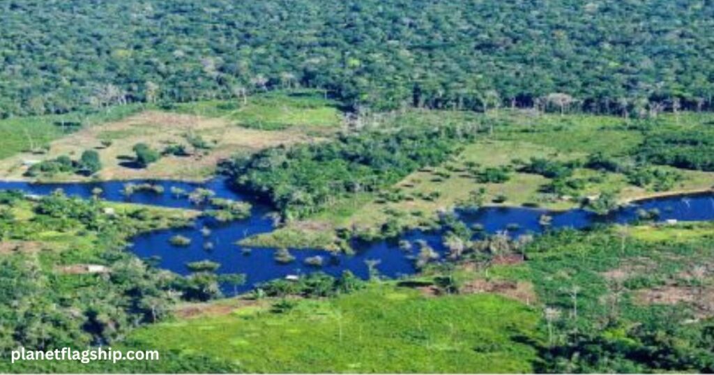 Traditional Knowledge and Conservation Practices