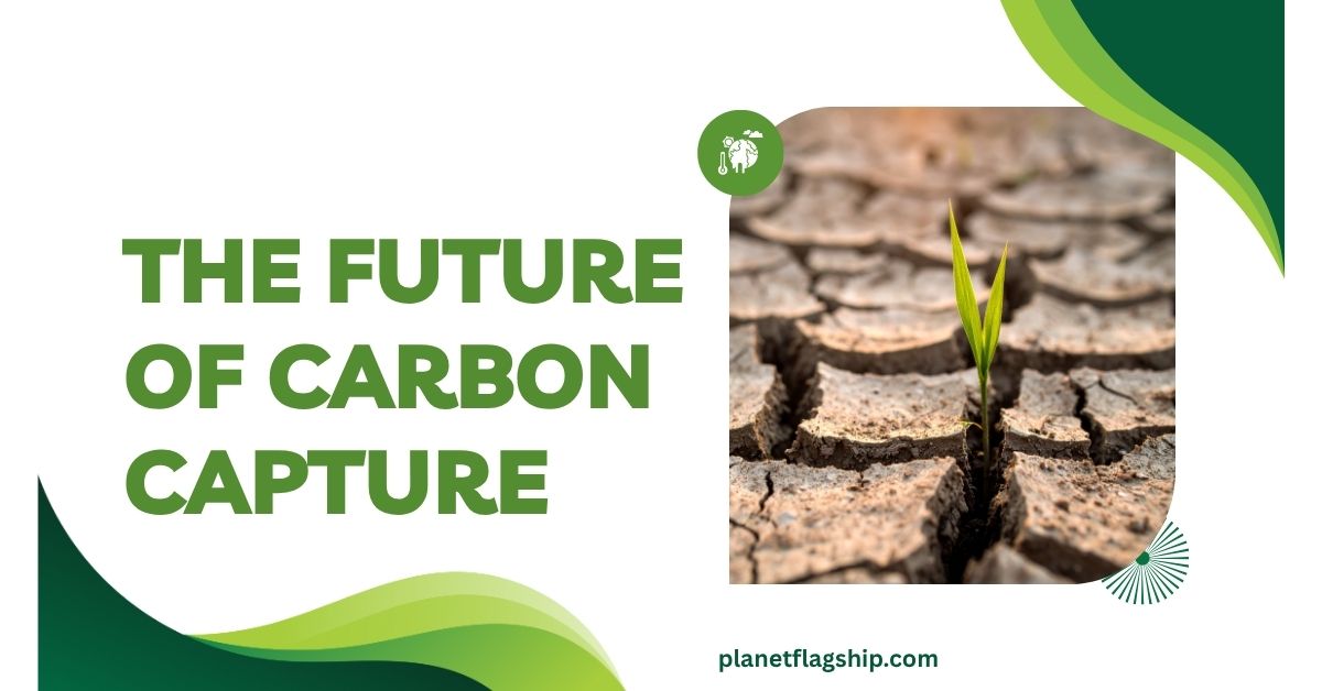 The Future of Carbon Capture: Can It Really Reverse Climate Change