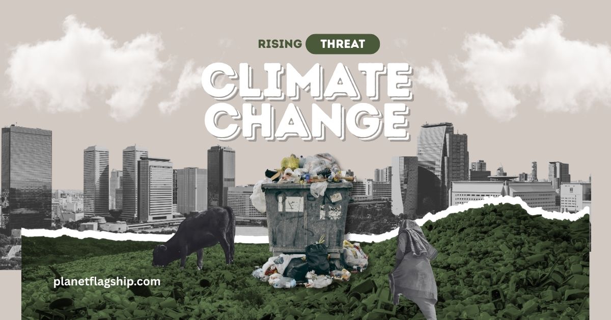 How Climate Change Is Driving Animal Migration Patterns?