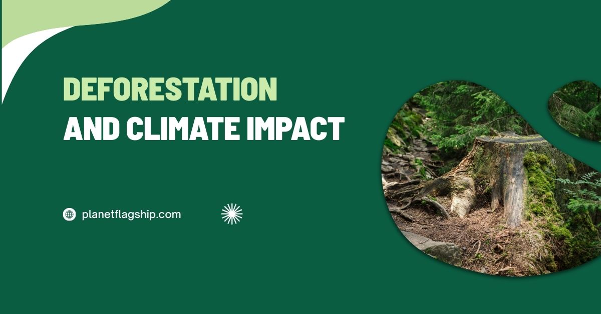 Deforestation and Climate Change:The Global Impact of Cutting Down Trees