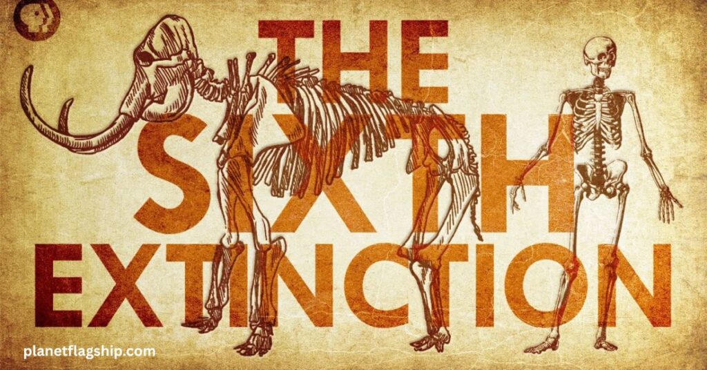 Ecological and Ethical Implications