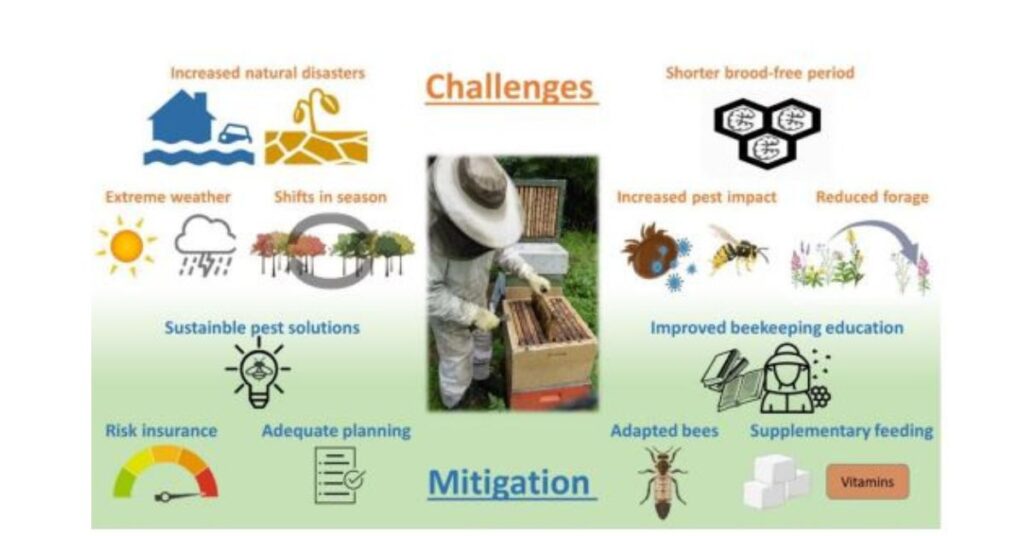 Impact of Climate Change on Bees