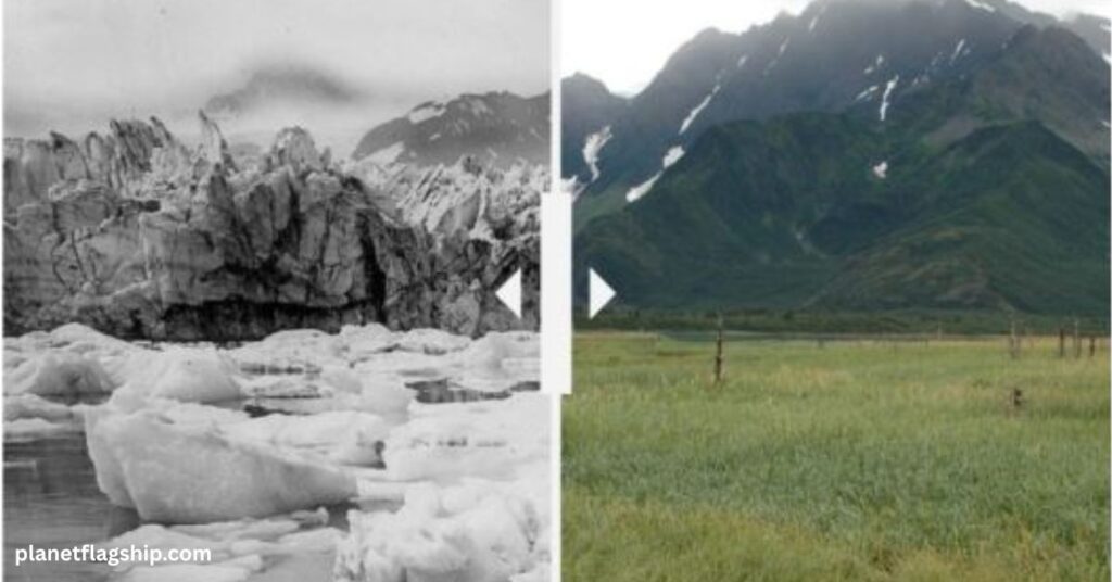 Loss of Snow and Ice