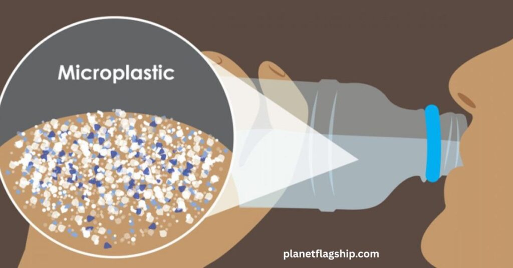 What are microplastics?