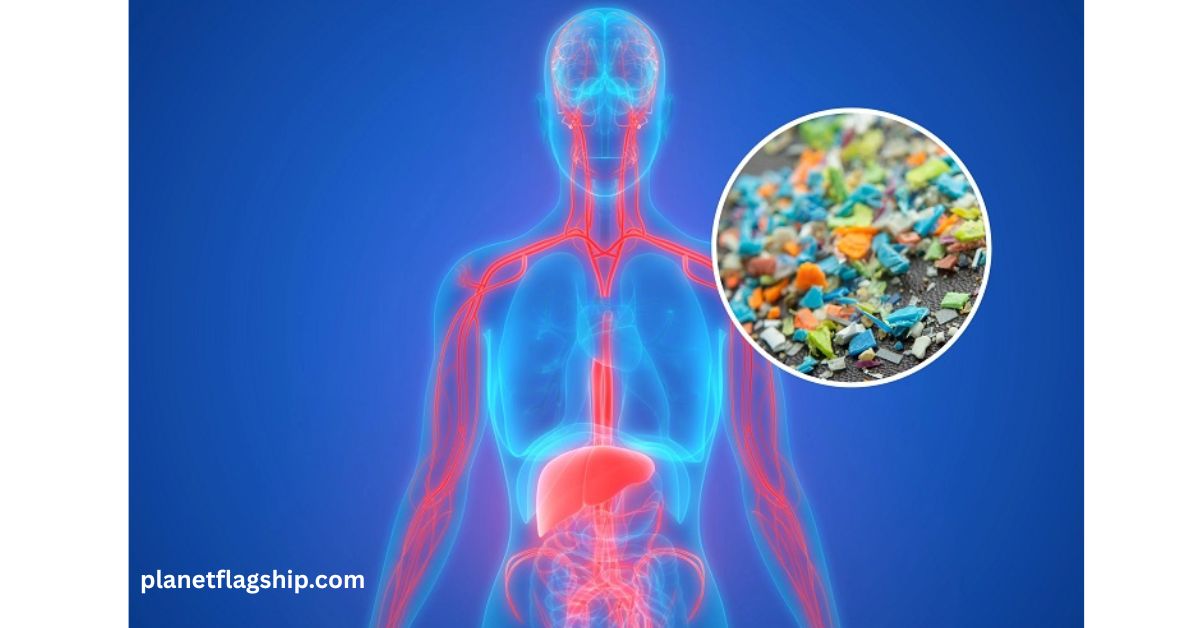 Microplastics in our Bloodstream: How Serious are The Health Risks