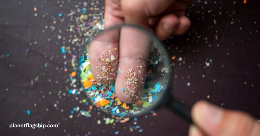 Potential Health Risks of Microplastics