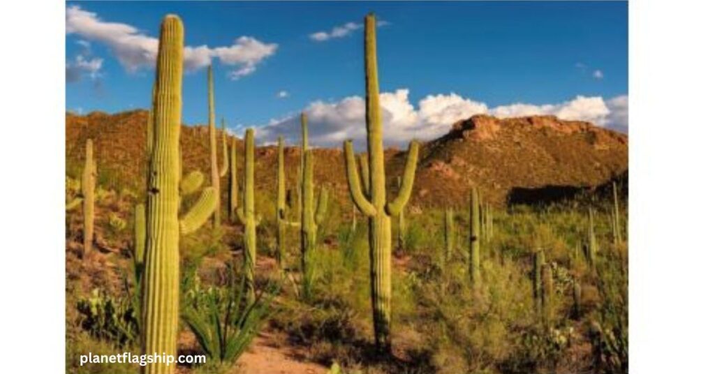 Water Availability and Drought